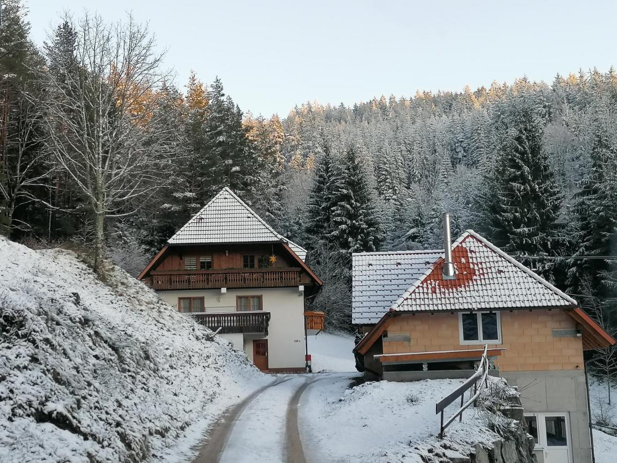 Ferienwohungen Im Kuchersbach 호른베르크 외부 사진